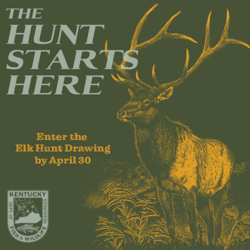 Apply for the 2022 Elk Hunt Drawing